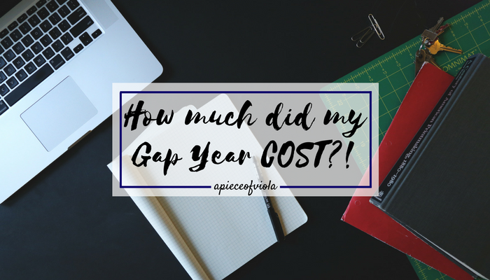 how-much-did-gap-year-cost
