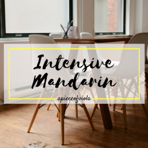 Learning Mandarin intensively | My Experience