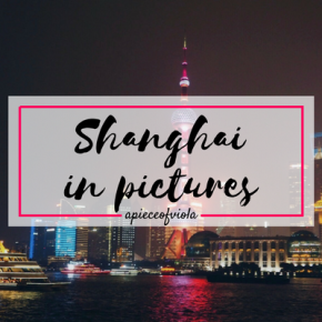Shanghai in Pictures | Travel Diaries